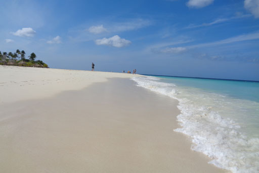 beach environment water preservation